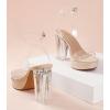 imageAnkis Platform Heels for Women 4 Inches Chunky Heels Sandals for Women Comfy Open Toe Block Heeled Sandals Nude White Silver Gold Black Ankle Strappy Heels for WomenF Crystal Clear