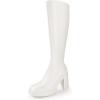 imageAnkis Knee High Boots Platform Boots for Women Chunky Heel Side Zipper Long GOGO BootsBeige Pu