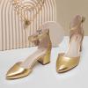 imageAnkis Closed Toe Heels for Women Black Nude Gold Silver Pointed Toe Heels Low Block Chunky Women Pumps with Ankle Strap 225 InchGold