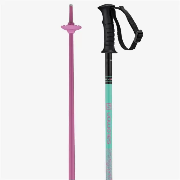 Salomon Kaloo Junior Alpine Ski Poles, Size 100, Blue