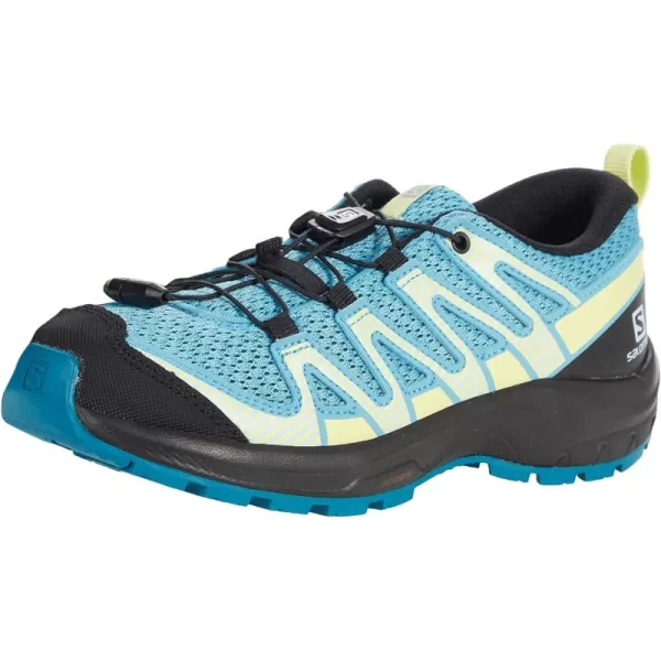 Delphinium Blue/Black/Charlock