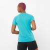 imageSalomon Womens Cross Run QuickDrying Short Sleeve Workout Tee for Road RunningPeacock Blue