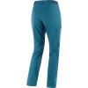 imageSalomon Womens Wayfarer Ease Pants for HikingDeep Dive