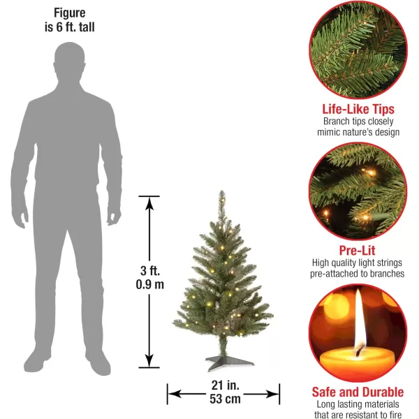 National Tree Company Artificial Mini Christmas Tree Green Kingswood Fir Includes Stand 3 FeetNational Tree Company Artificial Mini Christmas Tree Green Kingswood Fir Includes Stand 3 Feet