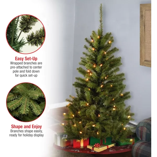 National Tree Company PreLit Artificial Full Christmas Tree Green Canadian Fir Grande White Lights Includes Stand 4 Feet4 ft 100 Clear Lights