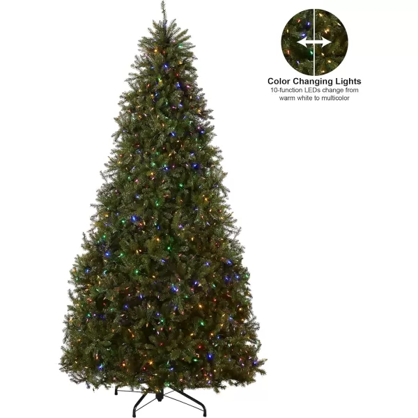 National Tree Company PreLit Artificial Full Christmas Tree Green Dunhill Fir Dual Color LED Lights Includes PowerConnect and Stand 75 Feet10 ft Christmas Tree