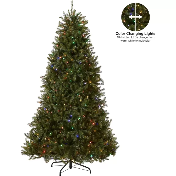 National Tree Company PreLit Artificial Full Christmas Tree Green Dunhill Fir Dual Color LED Lights Includes PowerConnect and Stand 75 Feet65 ft Christmas Tree