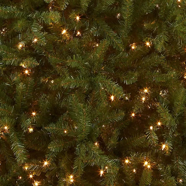 National Tree Company PreLit Artificial Full Christmas Tree Green White Lights Includes Stand 10 FeetNational Tree Company PreLit Artificial Full Christmas Tree Green White Lights Includes Stand 10 Feet