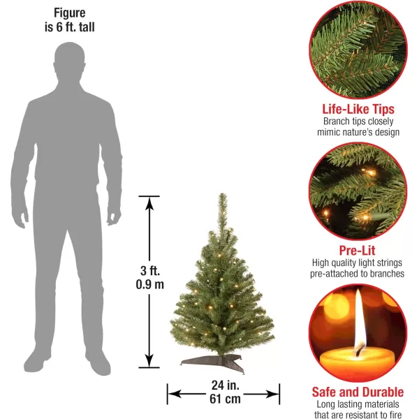 National Tree Company PreLit Artificial Mini Christmas Tree Green Kincaid Spruce White Lights Includes Stand 4 Feet3 ft Tree