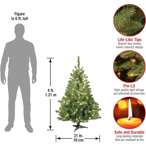 National Tree Company PreLit Artificial Mini Christmas Tree Green Kincaid Spruce White Lights Includes Stand 4 Feet4 ft Tree  Christmas Tree White Tinsel