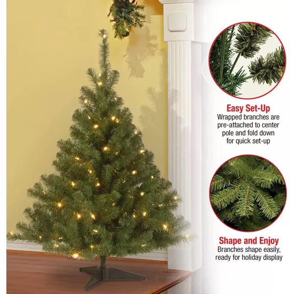 National Tree Company PreLit Artificial Mini Christmas Tree Green Kincaid Spruce White Lights Includes Stand 4 Feet4 ft Tree