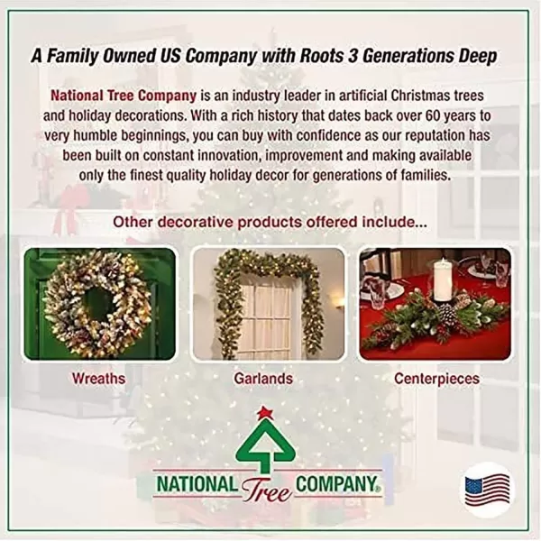 National Tree Company PreLit Artificial Mini Christmas Tree Green Kincaid Spruce White Lights Includes Stand 4 Feet4 ft Tree