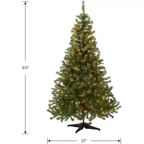 National Tree Company PreLit Artificial Mini Christmas Tree Green Kincaid Spruce White Lights Includes Stand 4 Feet6 ft Tree