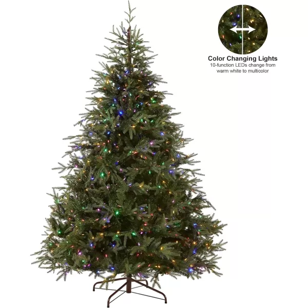 National Tree Company PreLit Feel Real Artificial Full Christmas Tree Green Frasier Grande Dual Color LED Lights Includes Stand 9 Feet6 ft