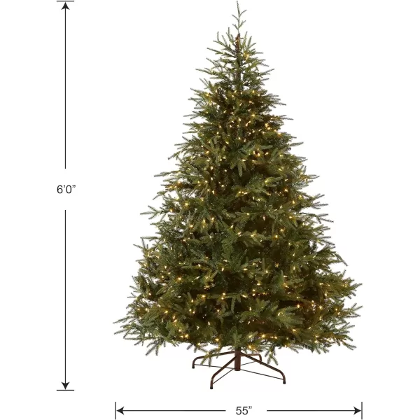 National Tree Company PreLit Feel Real Artificial Full Christmas Tree Green Frasier Grande Dual Color LED Lights Includes Stand 9 Feet6 ft