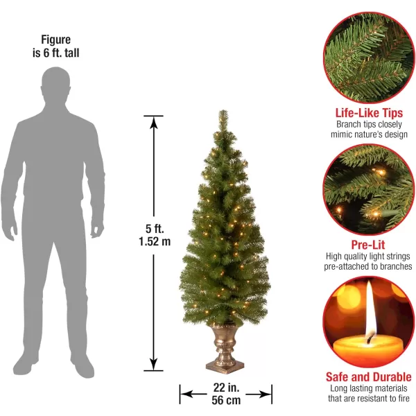 National Tree Company Prelit Artificial Christmas Tree For Entrances  Includes Prestrung White Lights and Stand  Montclair Spruce  5 ft5 ft Tree