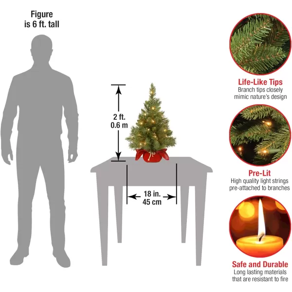 National Tree Company Prelit Artificial Mini Christmas Tree  Includes Small Lights and Cloth Bag Base  Kensington Burlap  4 ftTrees  Christmas Tree 2 ft