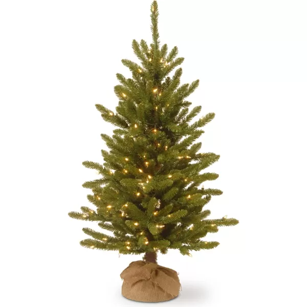 National Tree Company Prelit Artificial Mini Christmas Tree  Includes Small Lights and Cloth Bag Base  Kensington Burlap  4 ftTrees  Christmas Tree 2 ft