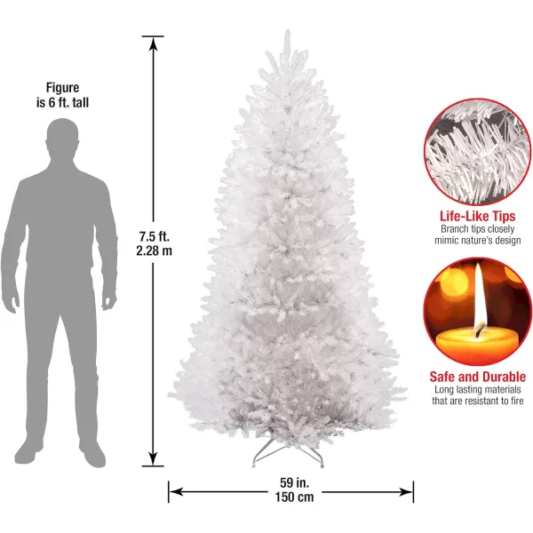 National Tree Dunhill White Fir Tree 7 ft75 ft White