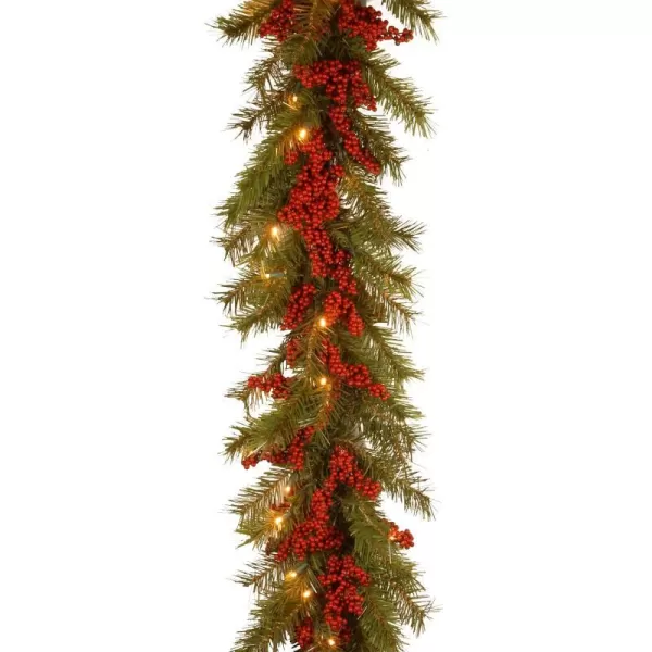 National Tree Company Artificial Christmas Garland Green Valley Pine Decorated With Berry Clusters Christmas Collection 9 Feet9Foot x 14Inch Garland with Red Berry Clusters and 50 Battery Operated Warm White LED Lights