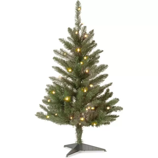 National Tree Company Artificial Mini Christmas Tree Green Kingswood Fir Includes Stand 3 FeetNational Tree Company Artificial Mini Christmas Tree Green Kingswood Fir Includes Stand 3 Feet