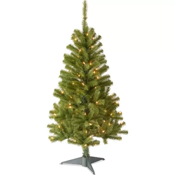 National Tree Company PreLit Artificial Full Christmas Tree Green Canadian Fir Grande White Lights Includes Stand 4 Feet4 ft 100 Clear Lights