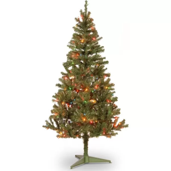 National Tree Company PreLit Artificial Full Christmas Tree Green Canadian Fir Grande White Lights Includes Stand 4 Feet6 ft 200 Multicolor Lights