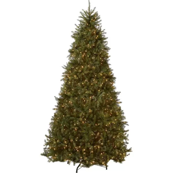 National Tree Company PreLit Artificial Full Christmas Tree Green White Lights Includes Stand 10 FeetNational Tree Company PreLit Artificial Full Christmas Tree Green White Lights Includes Stand 10 Feet