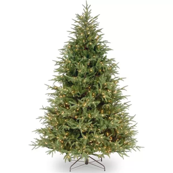 National Tree Company PreLit Feel Real Artificial Full Christmas Tree Green Frasier Grande Dual Color LED Lights Includes Stand 9 Feet65 ft