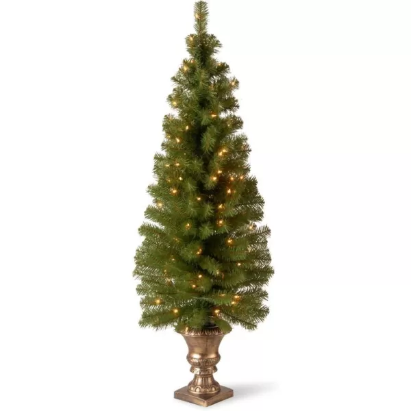 National Tree Company Prelit Artificial Christmas Tree For Entrances  Includes Prestrung White Lights and Stand  Montclair Spruce  5 ft5 ft Tree