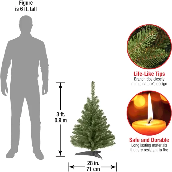 National Tree Company Artificial Mini Christmas Tree Green Kincaid Spruce Includes Stand 4 Feet3 ft