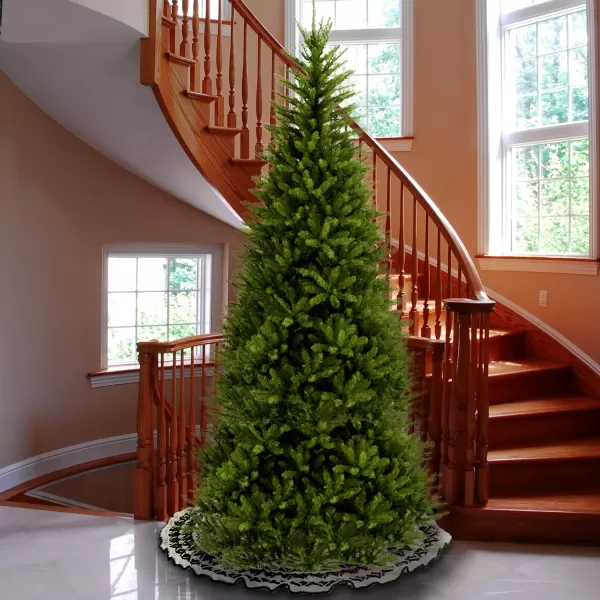 National Tree Company Artificial Slim Christmas Tree Green Dunhill Fir Includes Stand 65 Feet10 ft