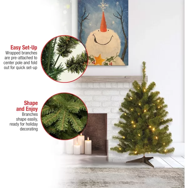 National Tree Company Company lit Artificial Mini Christmas Tree Includes PreStrung White Lights and Stand 3 ft Eastern SpruceNational Tree Company Company lit Artificial Mini Christmas Tree Includes PreStrung White Lights and Stand 3 ft Eastern Spruce