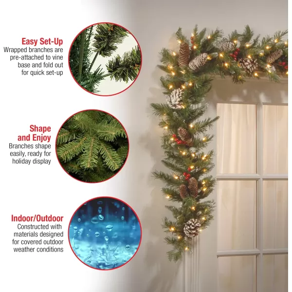 National Tree Company PreLit Artificial Christmas Garland Green Frosted Berry White Lights Decorated with Pine Cones Berry Clusters Plug In Christmas Collection 9 FeetGarland