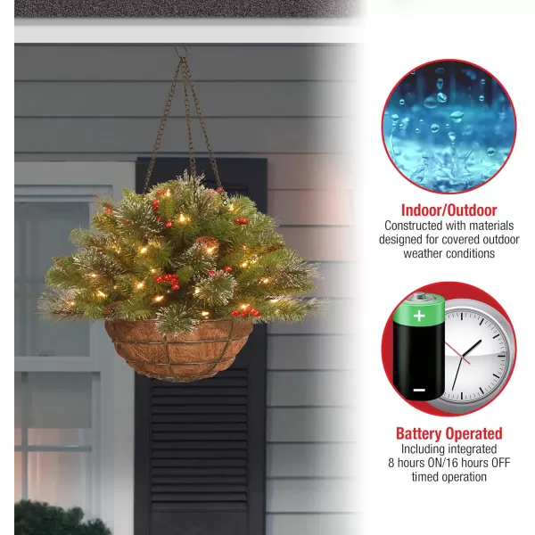 National Tree Company PreLit Artificial Christmas Hanging Basket Crestwood Spruce Decorated With Frosted Pine Cones Berry Clusters White Lights Christmas Collection 16 Inches16 Inch Green