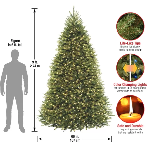 National Tree Company PreLit Artificial Full Christmas Tree Green Dunhill Fir Dual Color LED Lights Includes Stand 75 Feet9 ft Tree  Garland 9 ft