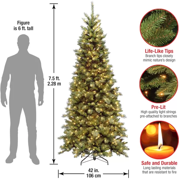 National Tree Company PreLit Artificial Slim Christmas Tree Green Tiffany Fir White Lights Includes Stand 75 Feet75 ft