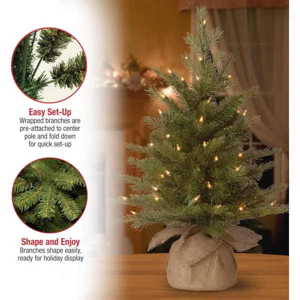 National Tree Company PreLit Feel Real Artificial Mini Christmas Tree Green Nordic Spruce White Lights Includes Burlap Bag Base 3 Feet2 ft Tree