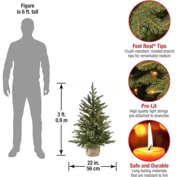 National Tree Company PreLit Feel Real Artificial Mini Christmas Tree Green Nordic Spruce White Lights Includes Burlap Bag Base 3 Feet3 ft Tree  Christmas Tree 2 ft