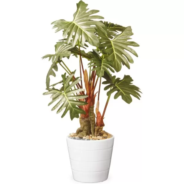 National Tree 21 Inch Garden Accents Green Philodendron Plant in Ceramic Pot GAPP3021GNational Tree 21 Inch Garden Accents Green Philodendron Plant in Ceramic Pot GAPP3021G