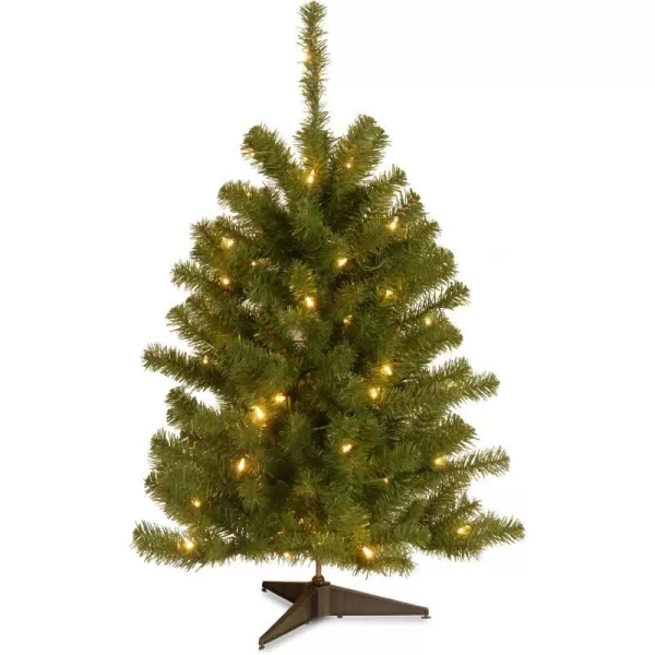 National Tree Company Company lit Artificial Mini Christmas Tree Includes PreStrung White Lights and Stand 3 ft Eastern SpruceNational Tree Company Company lit Artificial Mini Christmas Tree Includes PreStrung White Lights and Stand 3 ft Eastern Spruce