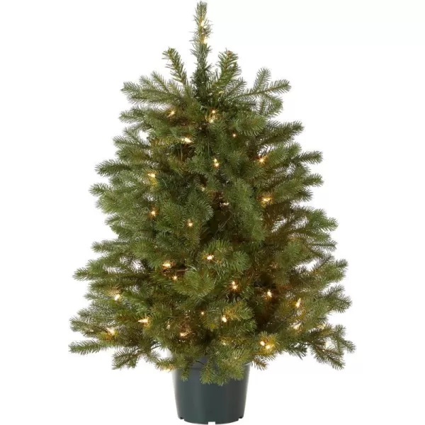 National Tree Company Feel Real Artificial Christmas Tree For Entrances Includes White Lights and Stand  Hampton Spruce  3 ftNational Tree Company Feel Real Artificial Christmas Tree For Entrances Includes White Lights and Stand  Hampton Spruce  3 ft