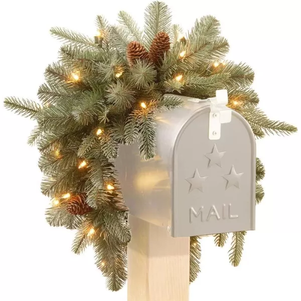 National Tree Company Feel Real Prelit Artificial Christmas Mail Box Swag  batteryoperated White LED Lights  Frosted Artic Spruce  36 Inch3Inch Green