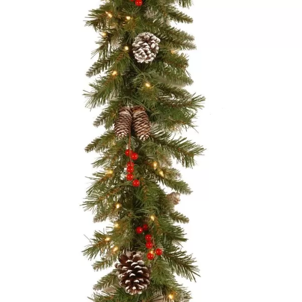 National Tree Company PreLit Artificial Christmas Garland Green Frosted Berry White Lights Decorated with Pine Cones Berry Clusters Plug In Christmas Collection 9 FeetGarland