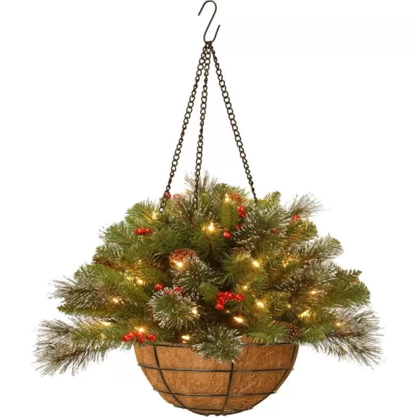 National Tree Company PreLit Artificial Christmas Hanging Basket Crestwood Spruce Decorated With Frosted Pine Cones Berry Clusters White Lights Christmas Collection 16 Inches16 Inch Green