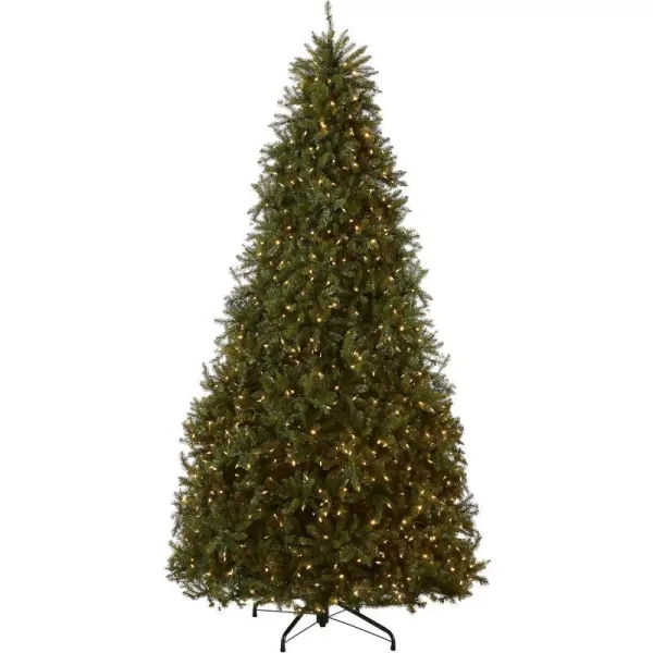 National Tree Company PreLit Artificial Full Christmas Tree Green Dunhill Fir Dual Color LED Lights Includes Stand 75 Feet10 ft Tree