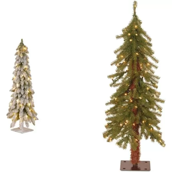 National Tree FTDF148ALO Tree 4 ft Green4 ft Tree  Trees Green  3 ft