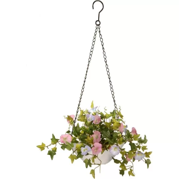 National Tree Morning Glory Plant Hanging Basket 9 Inch MultiNational Tree Morning Glory Plant Hanging Basket 9 Inch Multi