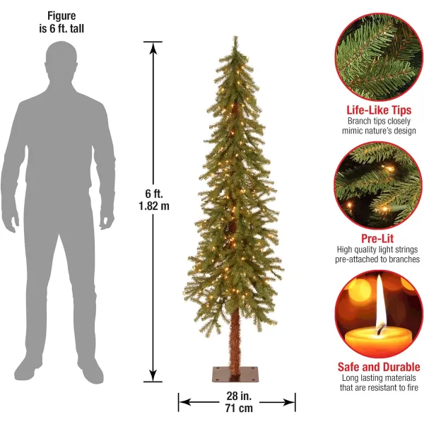 National Tree Company Artificial Christmas Tree  Includes Stand  Hickory Cedar  3 ft6 ft Tree  Trees Green  3 ft