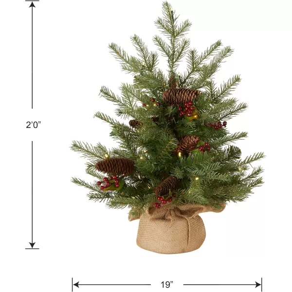 National Tree Company PreLit Feel Real Artificial Mini Christmas Tree Green Nordic Spruce White Lights Flocked with Pine Cones Red Berries Includes Burlap Bag Base 3 Feet2 ft